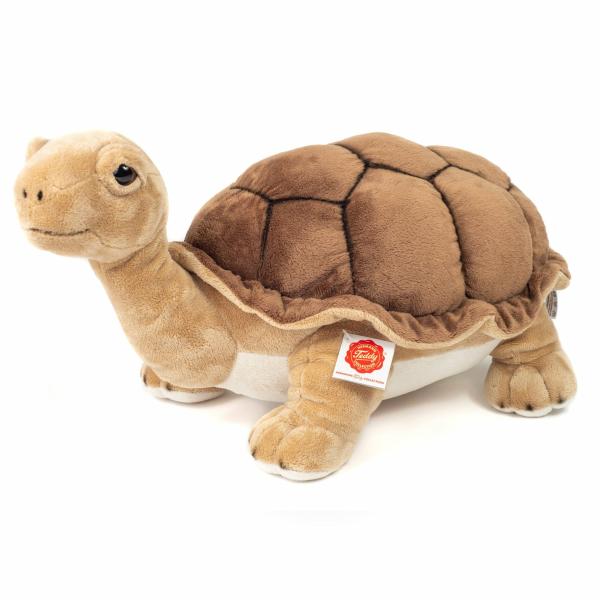 Plush |  Giant Tortoise Plush Plush